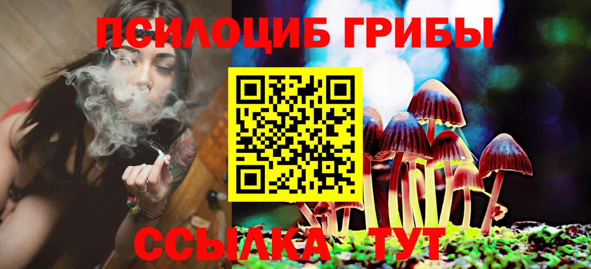 Сунжа  Псилоцибиновые грибы ЛСД  купить наркотик  Вход с VPN  Псилоцибиновые грибы ЛСД 