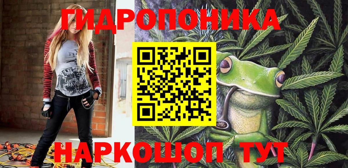 Шишки марихуана марихуана Сунжа